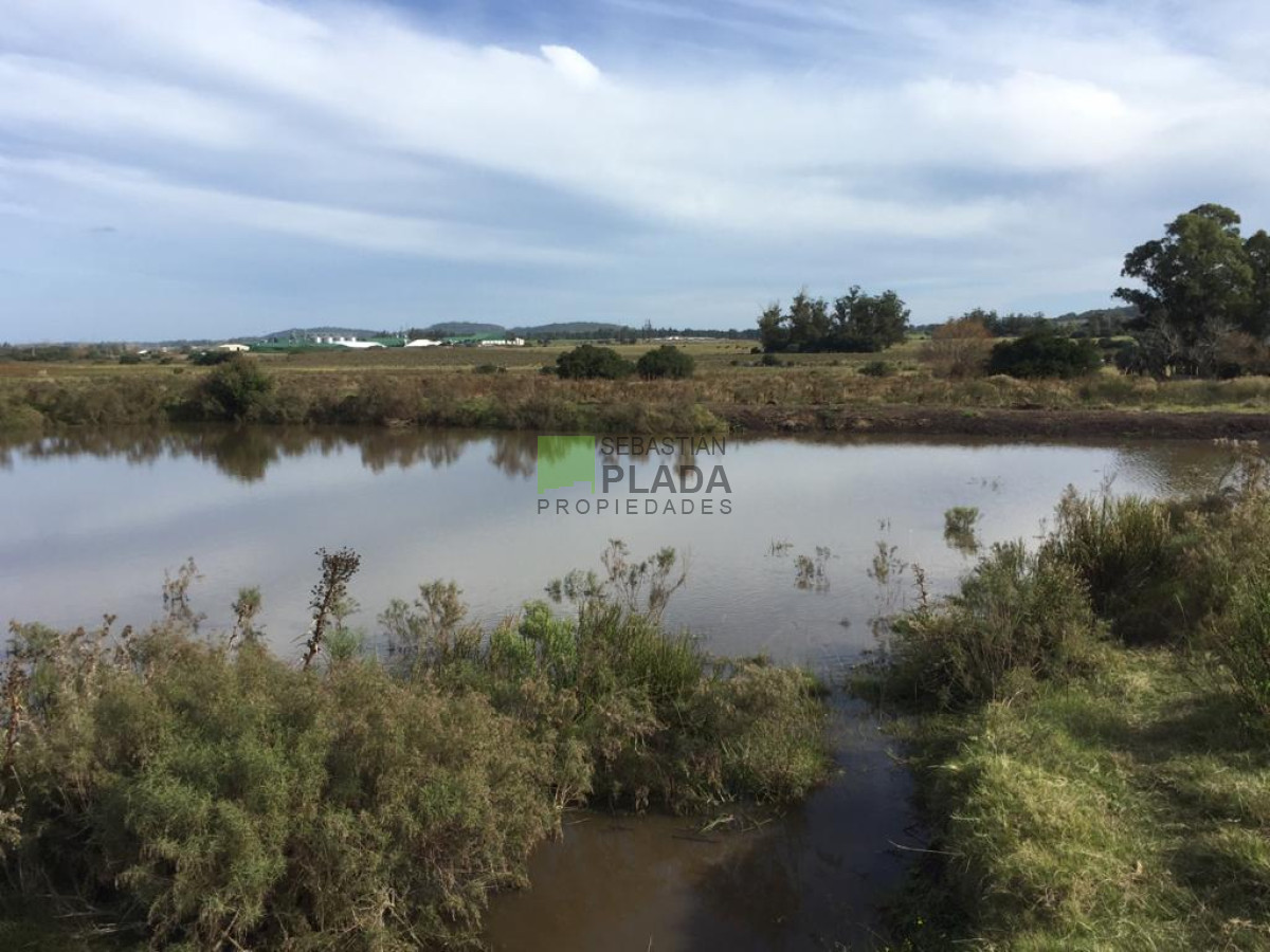 Campo Ref.479 - Chacras en Punta Ballena