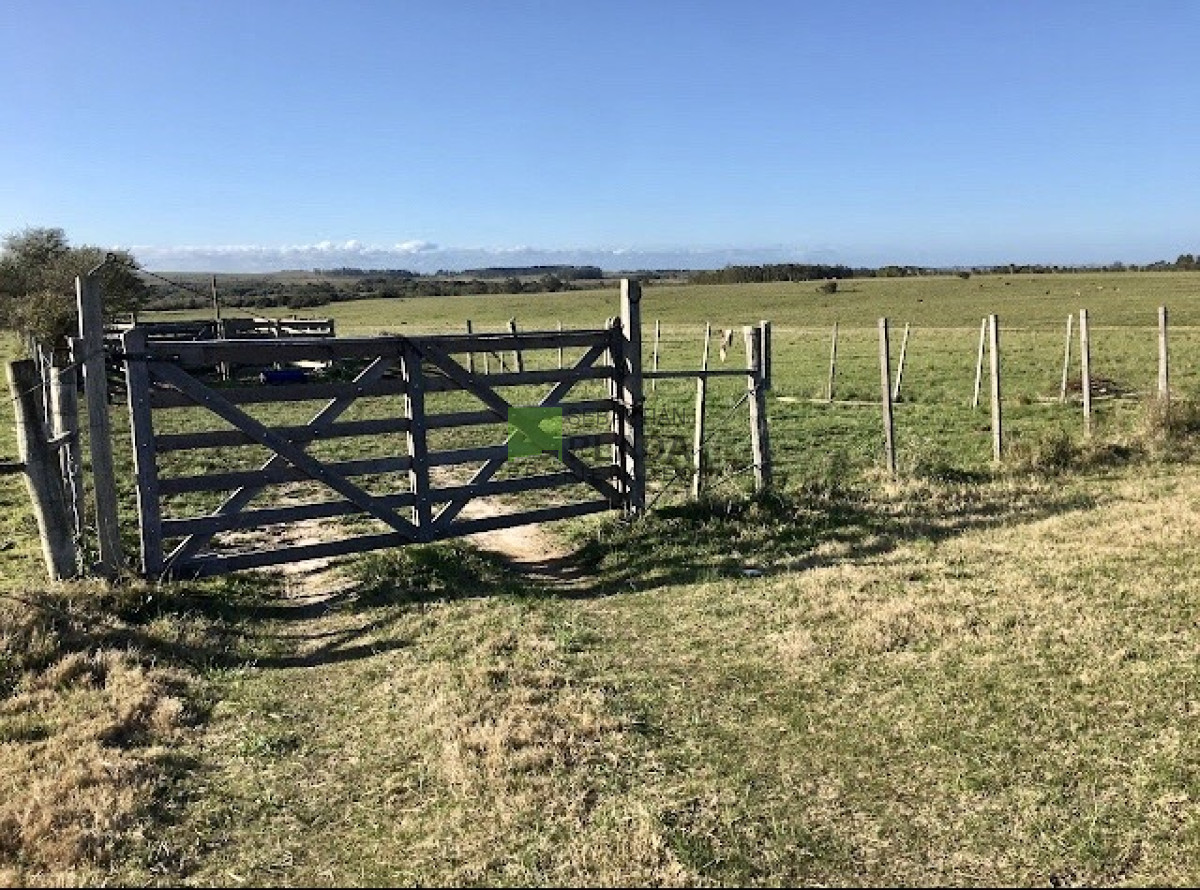 Campo Ref.587 -  Bajo de precio ! Buena fracción de campo de 23 Has. sobre Ruta 9.-