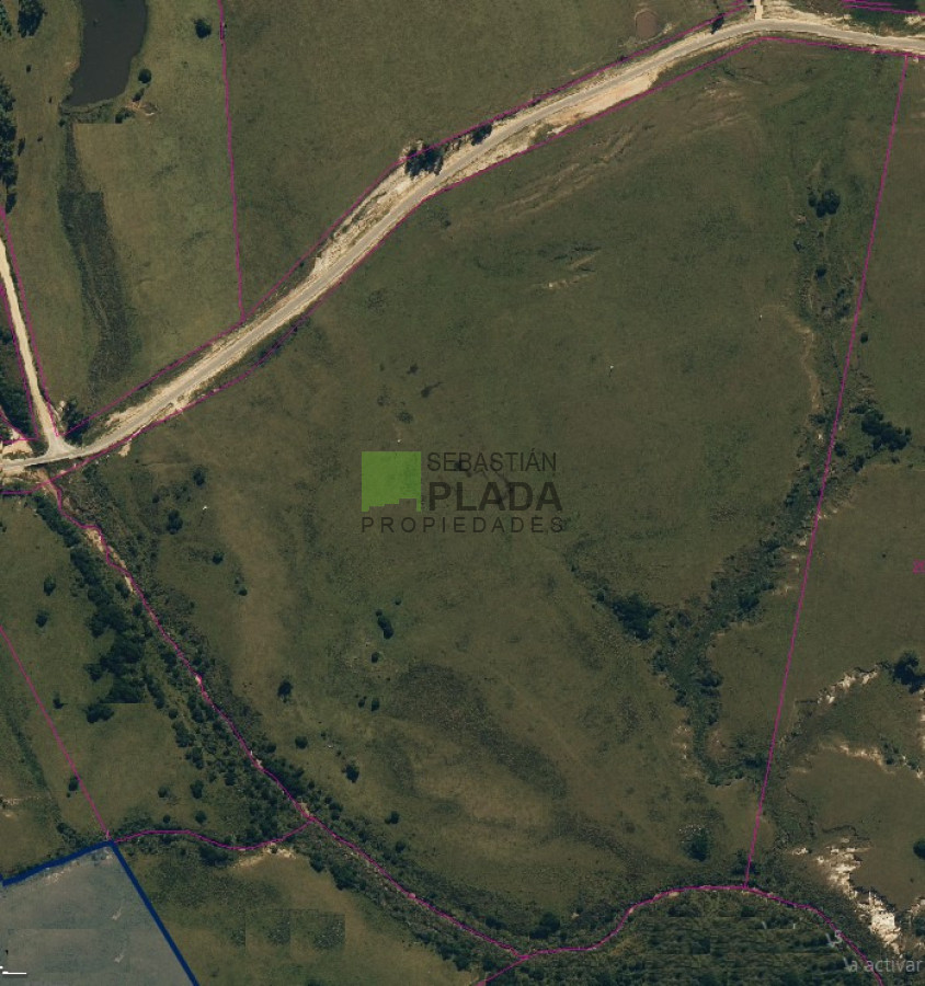 Campo Ref.1036 - 40 Hás en Garzón sonre Asfalto a 3.5 km  del Pueblo