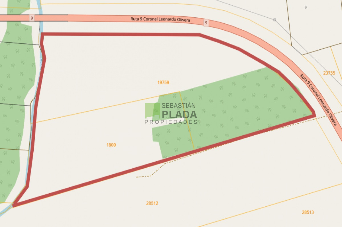 Campo Ref.503 - Buena Fracción con arroyo sobre Ruta 9