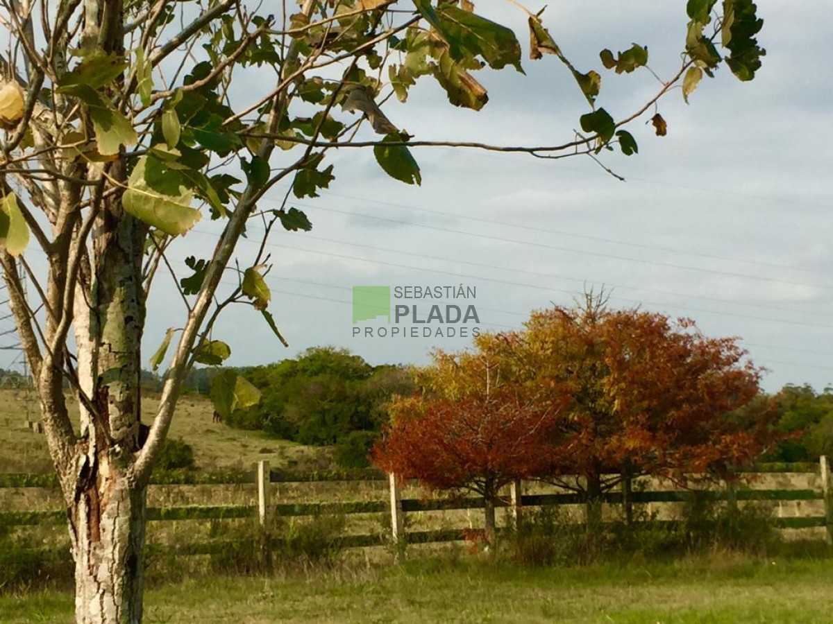 Campo Ref.479 - Chacras en Punta Ballena
