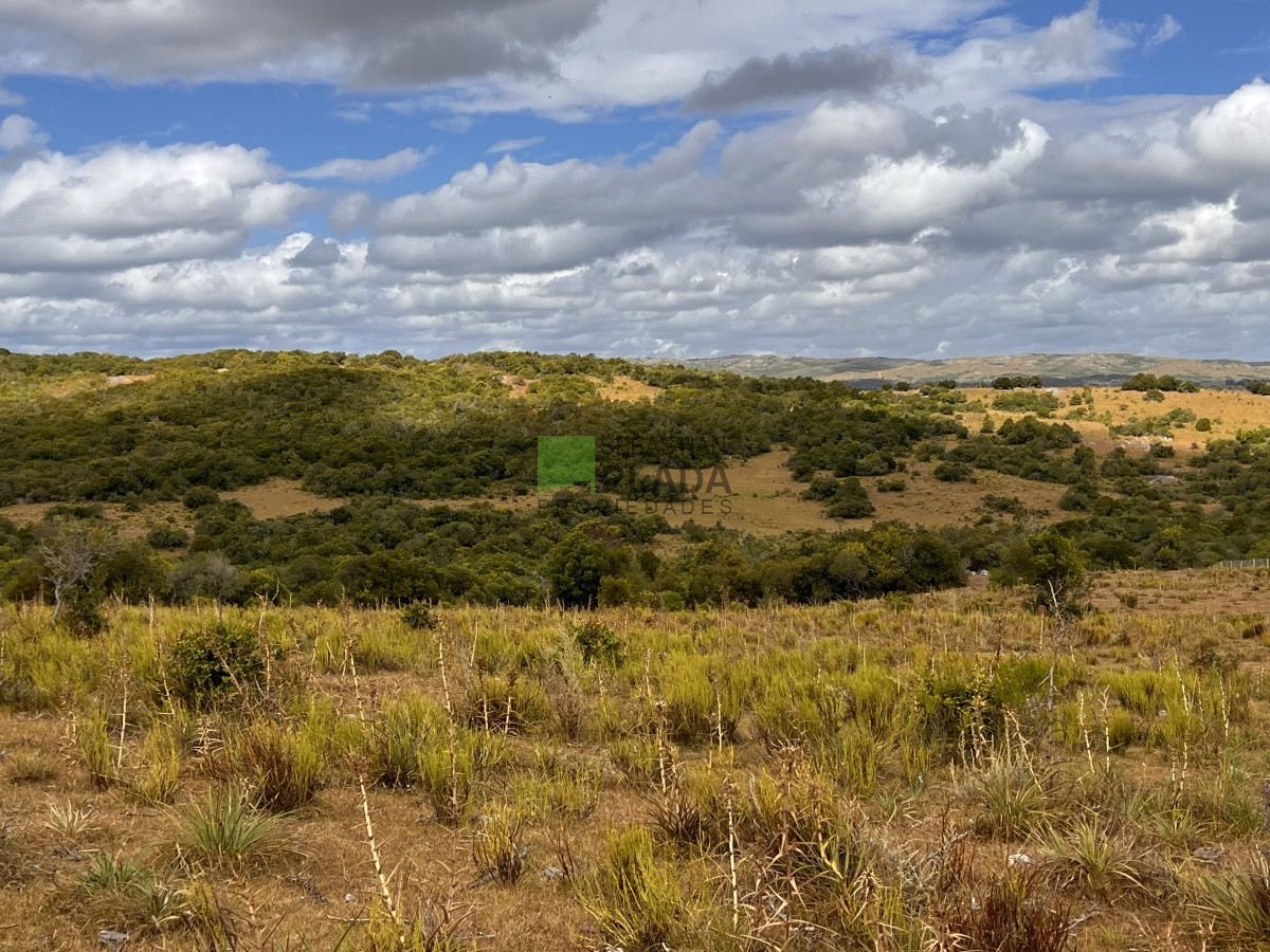 Campo Ref.750 - Interesante fracción de 128 Hás en Las Cañas