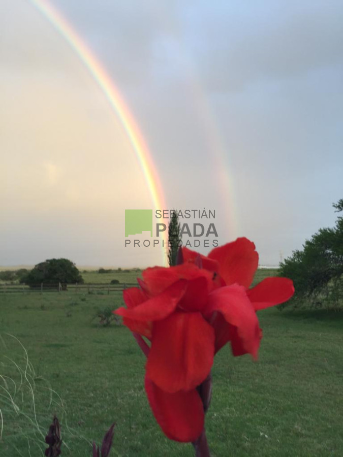 Campo Ref.479 - Chacras en Punta Ballena