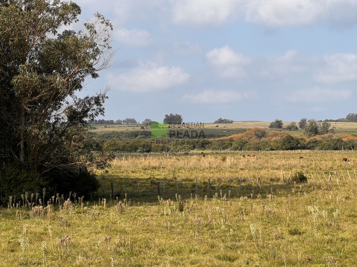 Campo Ref.749 - Campo en el exclusivo Garzón, en el Pueblo, esquina con la Estación de Trenes