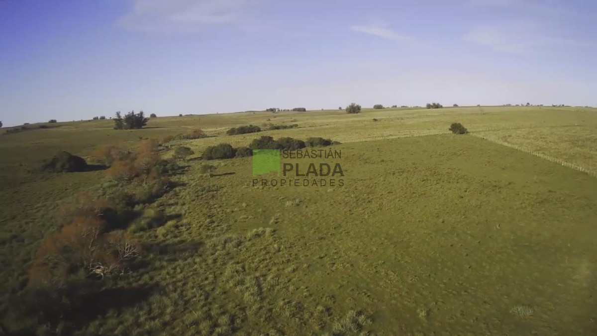 Campo Ref.993 - Fracción de Campo - 15 Hás - Cañada Bellaca