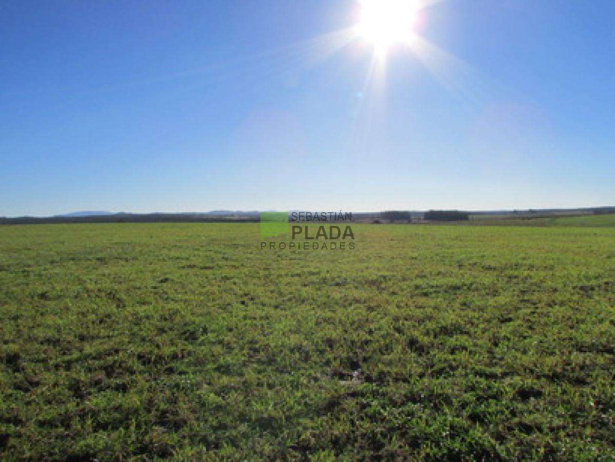 Campo Ref.65 - Muy linda Fracción con Vistas a Laguna del Sauce