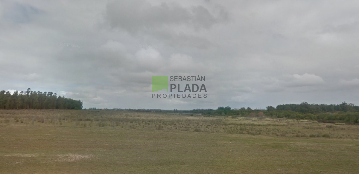 Campo Ref.503 - Buena Fracción con arroyo sobre Ruta 9
