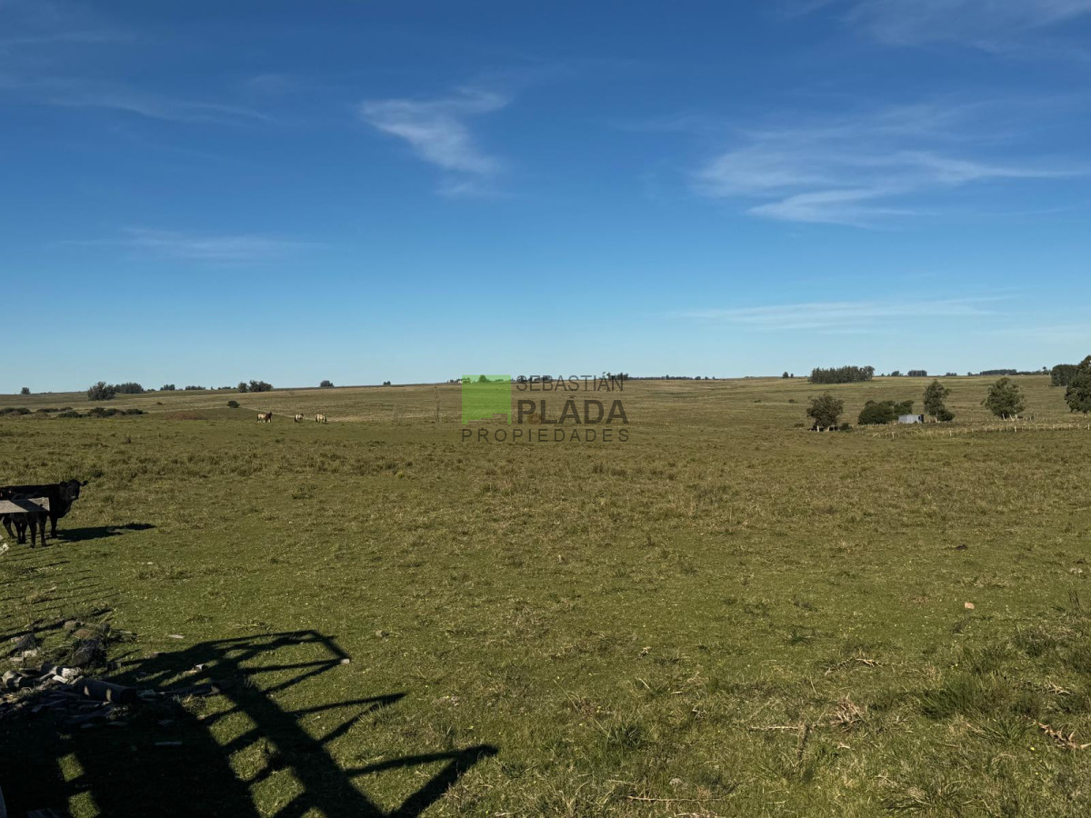 Campo Ref.993 - Fracción de Campo - 15 Hás - Cañada Bellaca