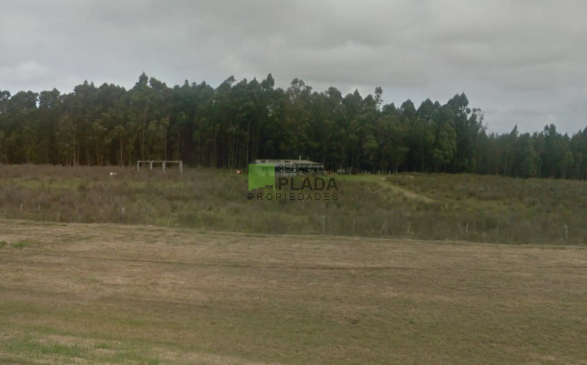 Campo Ref.503 - Buena Fracción con arroyo sobre Ruta 9