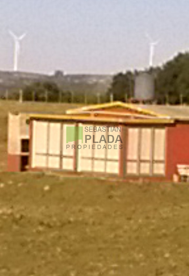 Campo Ref.763 - Fraccion de 41 Hás en Carapé, a 51 kms. de Punta del Este