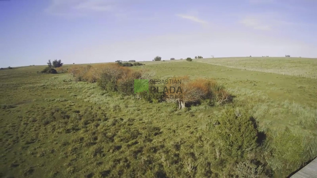 Campo Ref.993 - Fracción de Campo - 15 Hás - Cañada Bellaca