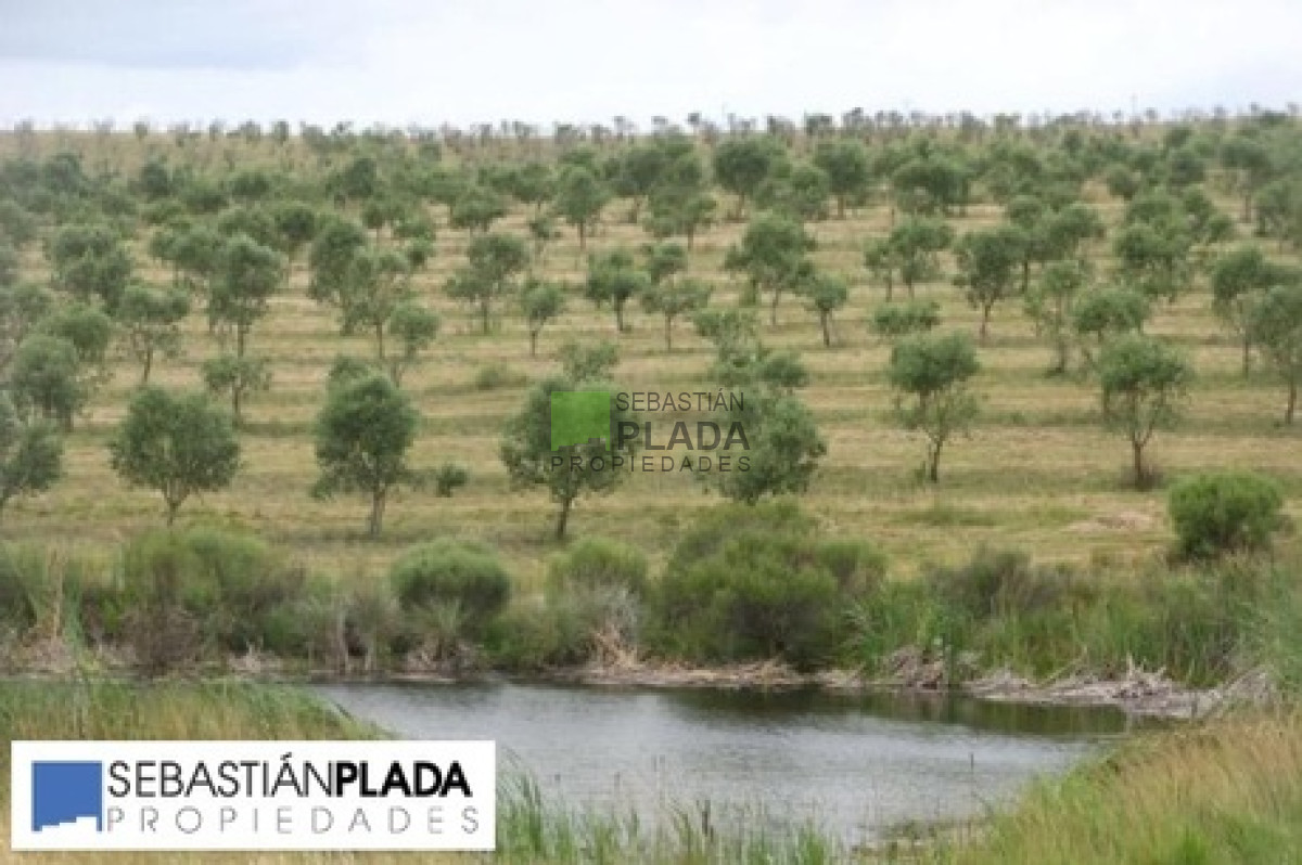Campo Ref.64 - Campo en Pueblo Eden, 