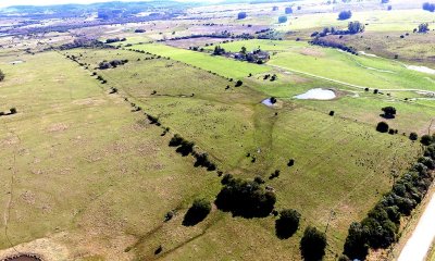 Campo en Venta en Camino Zanja de Chávez a 8 km de San Carlos