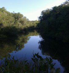 Muy lindo campo, con costas de arroyo