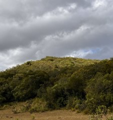 Interesante fracción de 128 Hás en Las Cañas