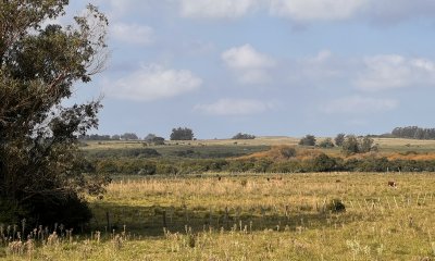 Campo en el exclusivo Garzón, en el Pueblo, esquina con la Estación de Trenes