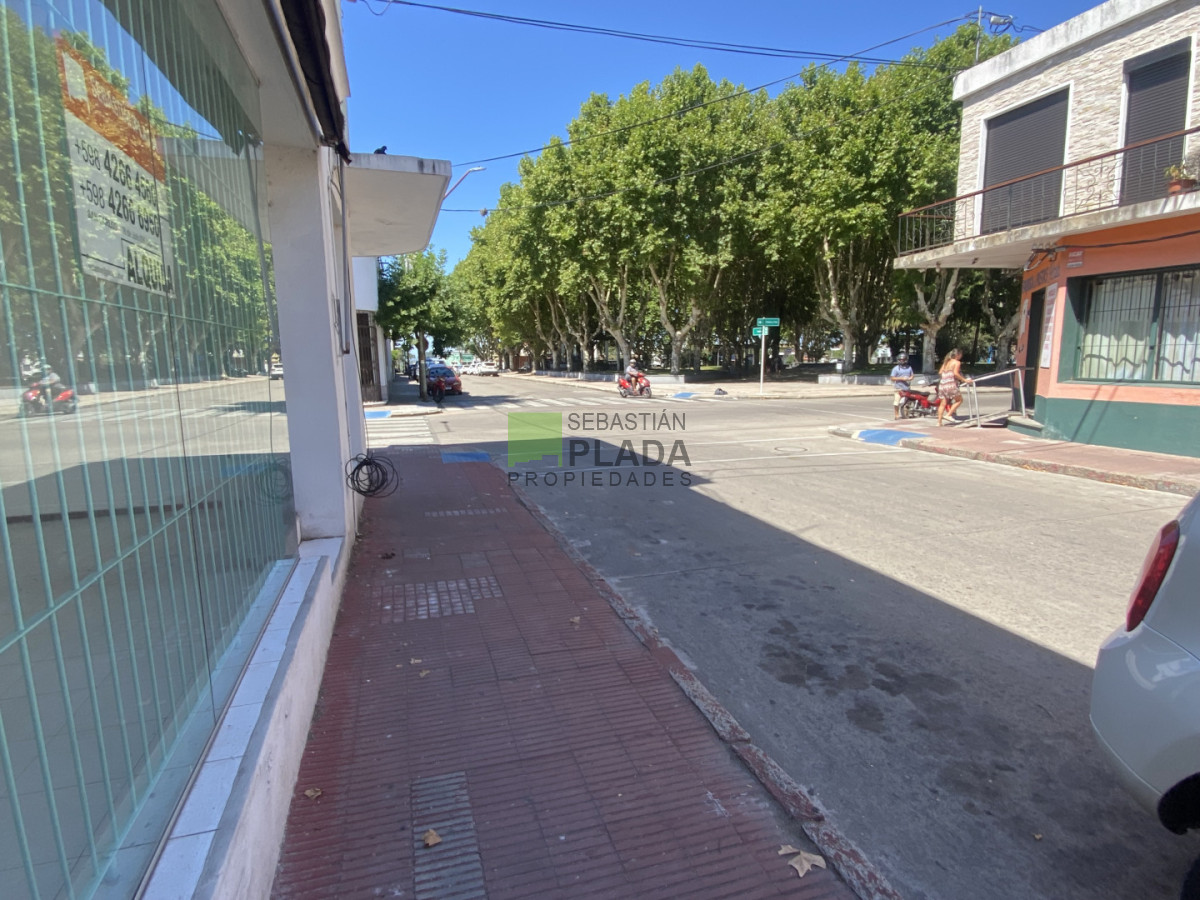Local Comercial ID.1059 - Local Comercial en Alquiler en el Centro de San Carlos
