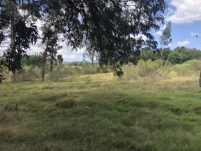 lote esquinero 1229 metros cobre camino eguzquiza en venta en el tesoro - pld255t