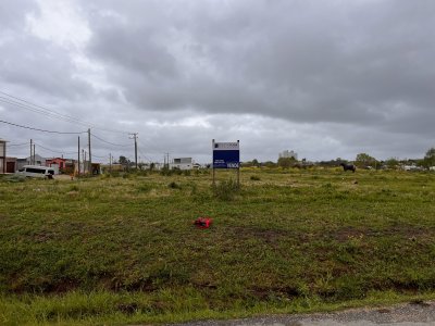 terreno alto de 426 m2, sobre calle asfaltada. - pld795t