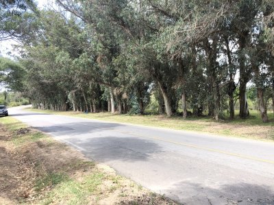 lote esquinero 1229 metros cobre camino eguzquiza en venta en el tesoro - pld255t