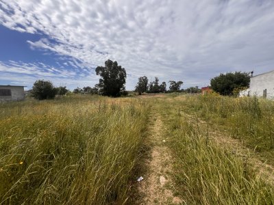 en venta. amplio terreno sobre avenida - pld817t