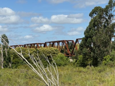 terreno 500 metros en barrio halty, venta - pld846t