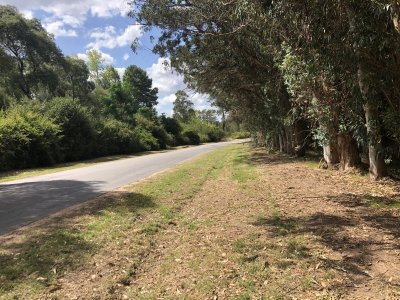 lote esquinero 1229 metros cobre camino eguzquiza en venta en el tesoro - pld255t