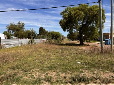 terreno esquinero - pld706t