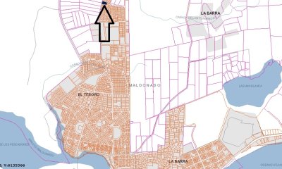 lote esquinero 1229 metros cobre camino eguzquiza en venta en el tesoro - pld255t