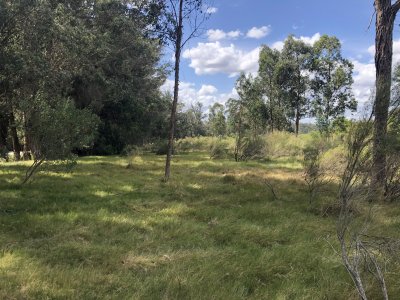 lote esquinero 1229 metros cobre camino eguzquiza en venta en el tesoro - pld255t