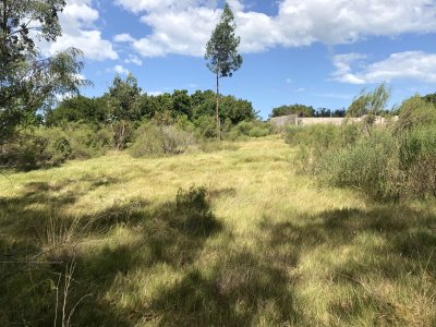 lote esquinero 1229 metros cobre camino eguzquiza en venta en el tesoro - pld255t