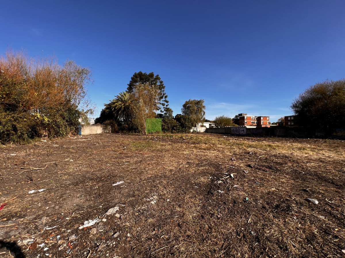 Terreno ID.637 - Muy buen terreno zona Centro San Carlos