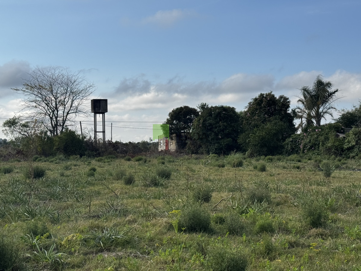 Terreno ID.1026 - Lote de 3000 m2 muy burn frente sobre calle asfaltada.