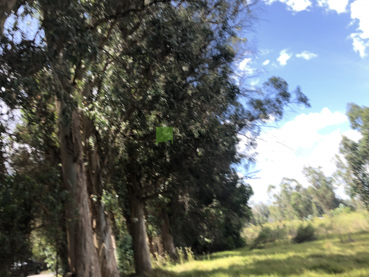 Terreno ID.255 - Lote Esquinero 1229 metros cobre camino Eguzquiza en Venta en El Tesoro