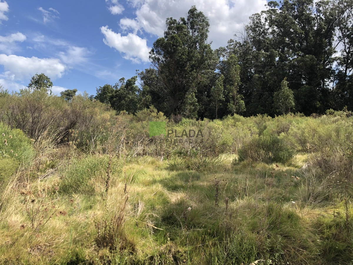 Terreno ID.255 - Lote Esquinero 1229 metros cobre camino Eguzquiza en Venta en El Tesoro