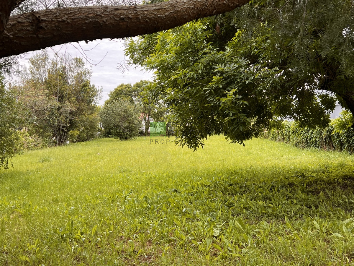 Terreno ID.438 - Terreno alto de 1050 M2  en lindo barrio de la ciudad.-