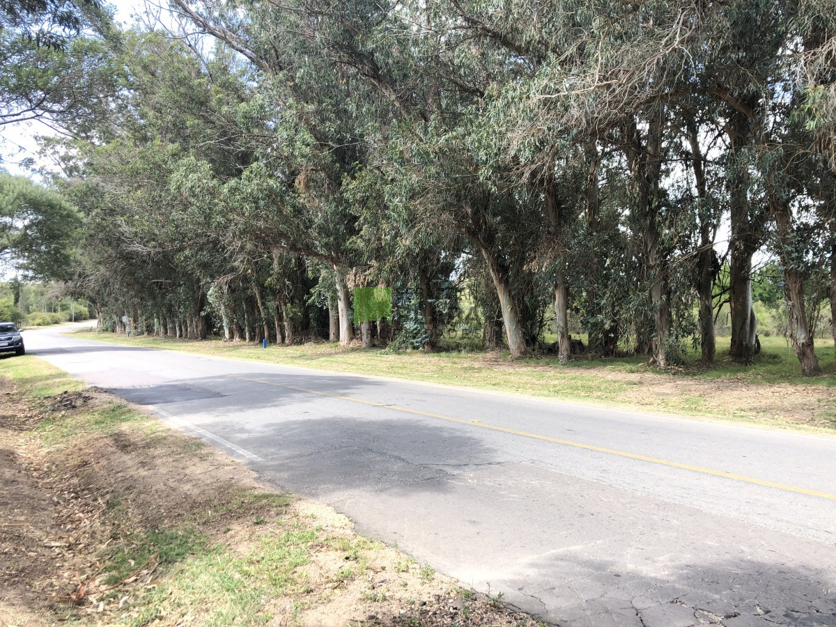 Terreno ID.255 - Lote Esquinero 1229 metros cobre camino Eguzquiza en Venta en El Tesoro