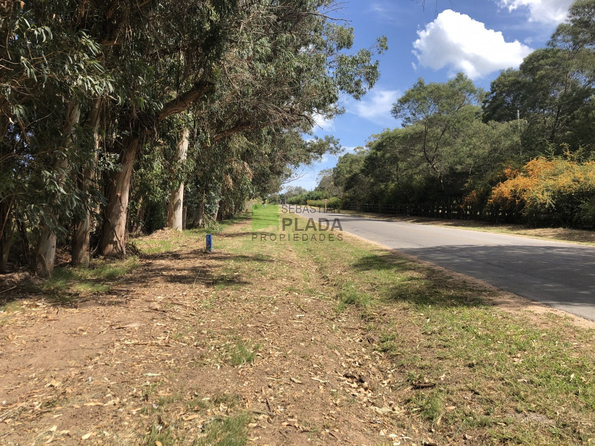 Terreno ID.255 - Lote Esquinero 1229 metros cobre camino Eguzquiza en Venta en El Tesoro