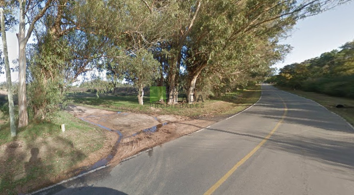 Terreno ID.255 - Lote Esquinero 1229 metros cobre camino Eguzquiza en Venta en El Tesoro