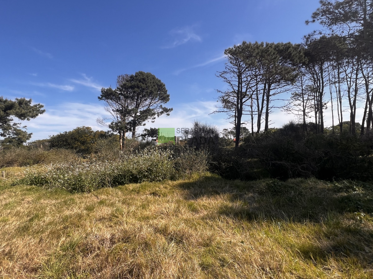 Terreno ID.351 - Terreno a 2 Cuadras de la Playa en el Balneario Buenos Aires