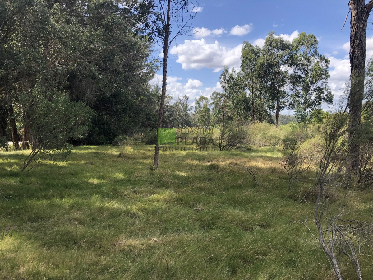 Terreno ID.255 - Lote Esquinero 1229 metros cobre camino Eguzquiza en Venta en El Tesoro