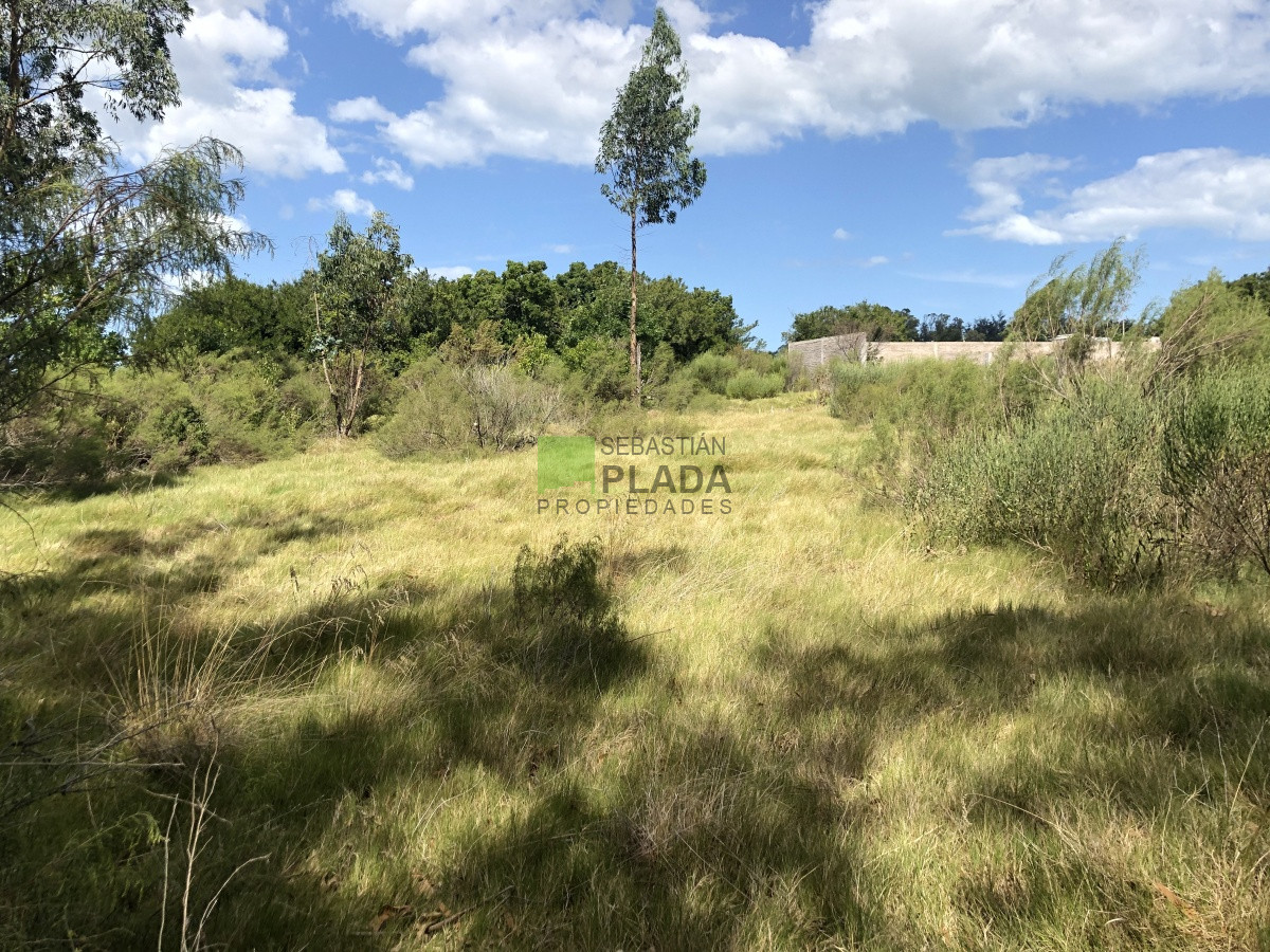 Terreno ID.255 - Lote Esquinero 1229 metros cobre camino Eguzquiza en Venta en El Tesoro