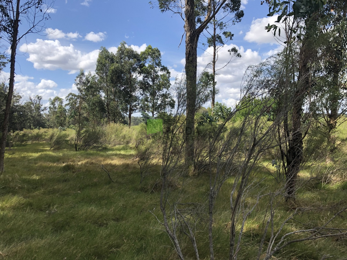 Terreno ID.255 - Lote Esquinero 1229 metros cobre camino Eguzquiza en Venta en El Tesoro