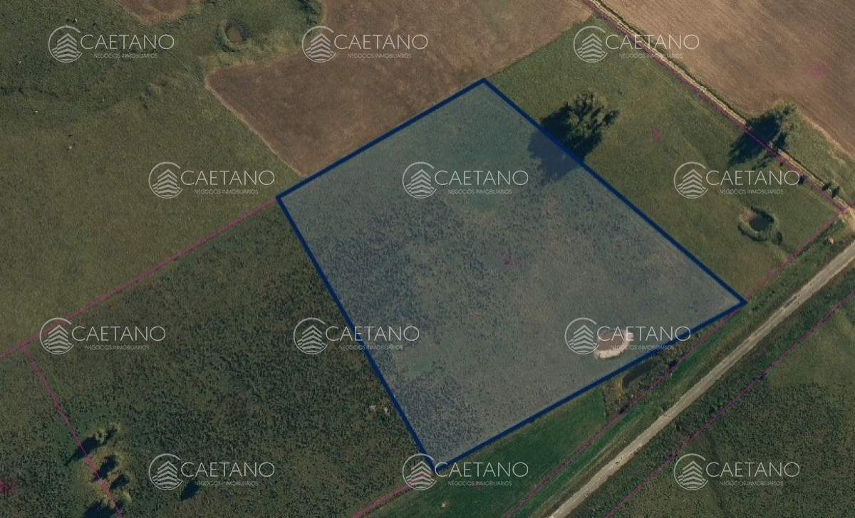 Ruta 39 - GoPunta - Portal Inmobiliario de Punta del Este - Maldonado