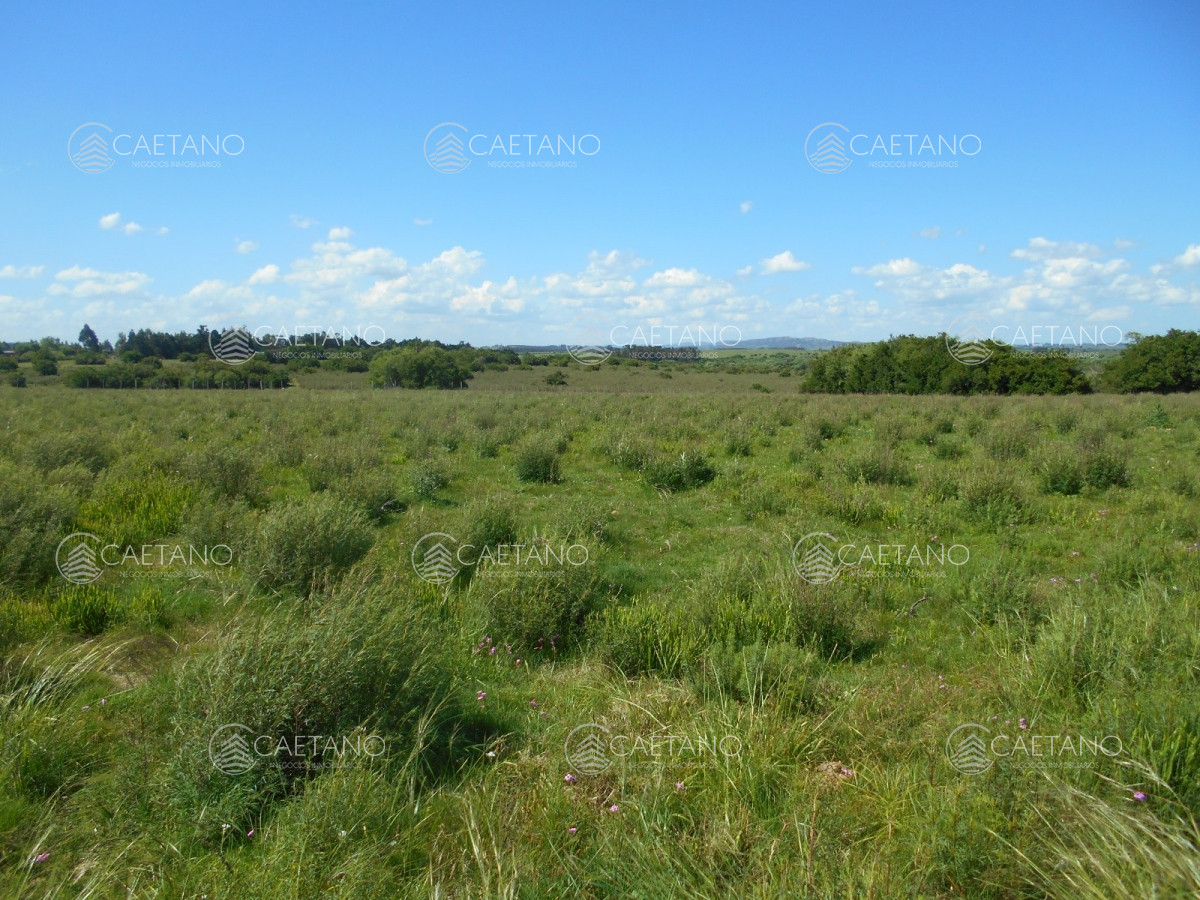 Ruta 39 - GoPunta - Portal Inmobiliario de Punta del Este - Maldonado