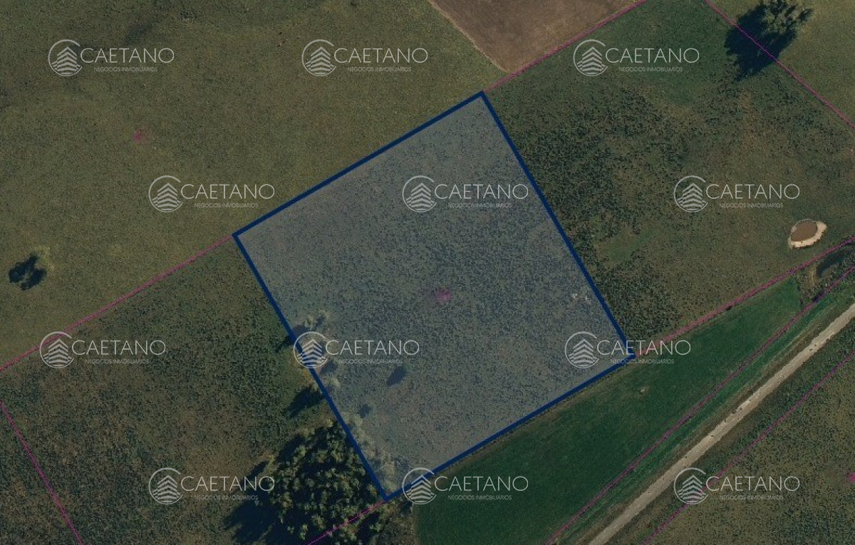 Ruta 39 - GoPunta - Portal Inmobiliario de Punta del Este - Maldonado