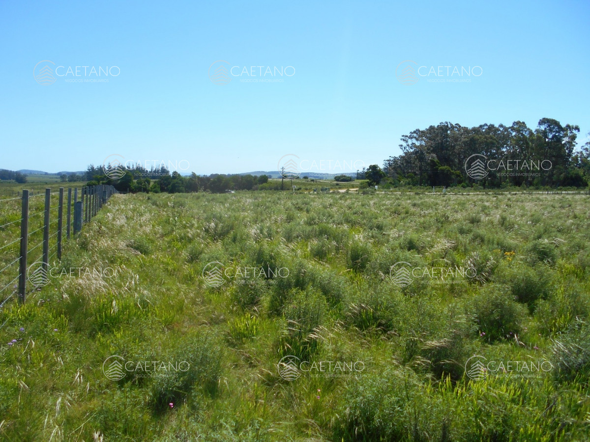 Ruta 39 - GoPunta - Portal Inmobiliario de Punta del Este - Maldonado