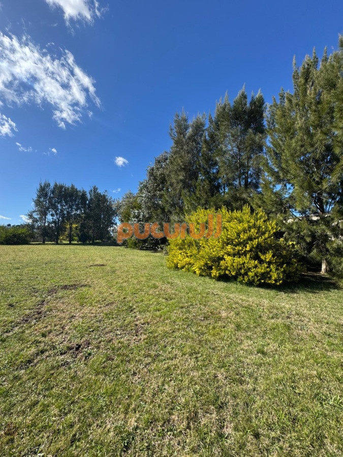 El Quijote - GoPunta - Portal Inmobiliario de Punta del Este - Maldonado