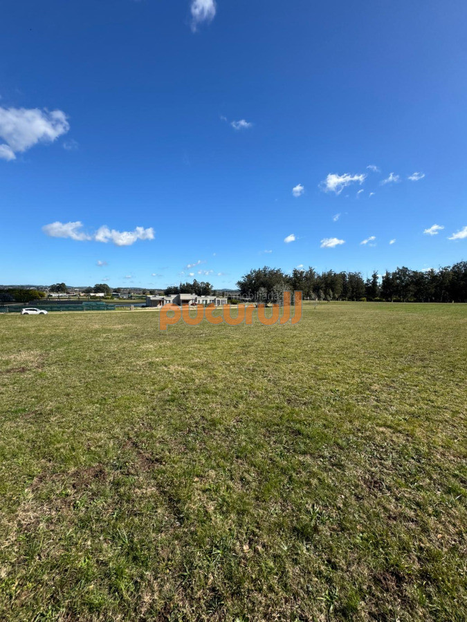 El Quijote - GoPunta - Portal Inmobiliario de Punta del Este - Maldonado