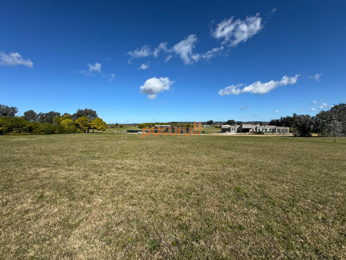 El Quijote - GoPunta - Portal Inmobiliario de Punta del Este - Maldonado